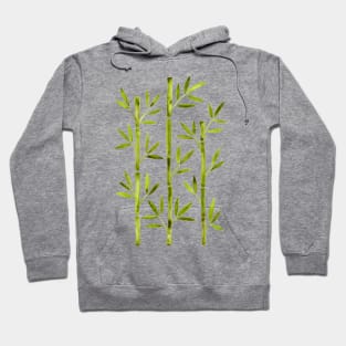 Green Bamboo Hoodie